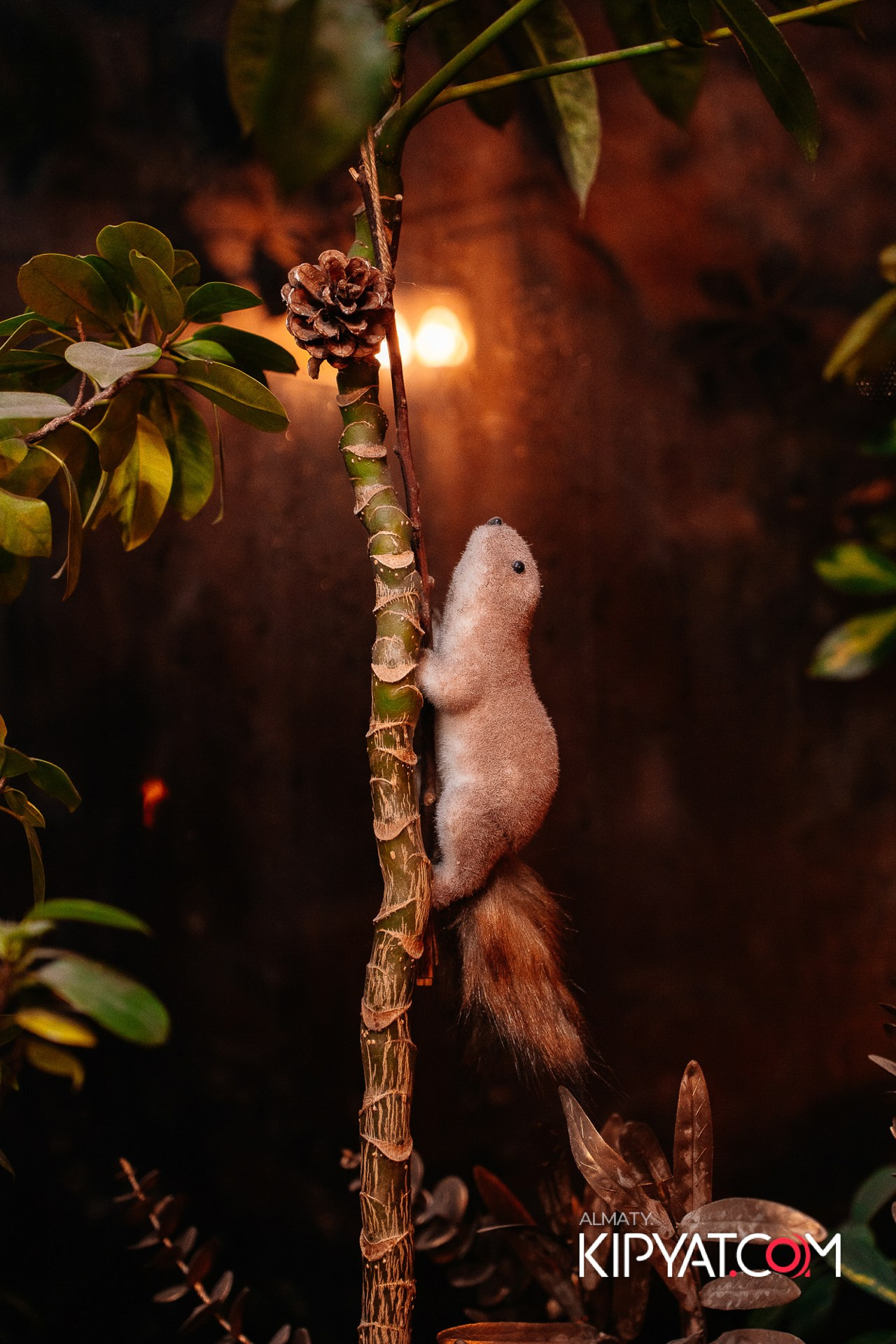 Munchen на Сейфуллина. КИПЯТКОМ АЛМАТЫ!