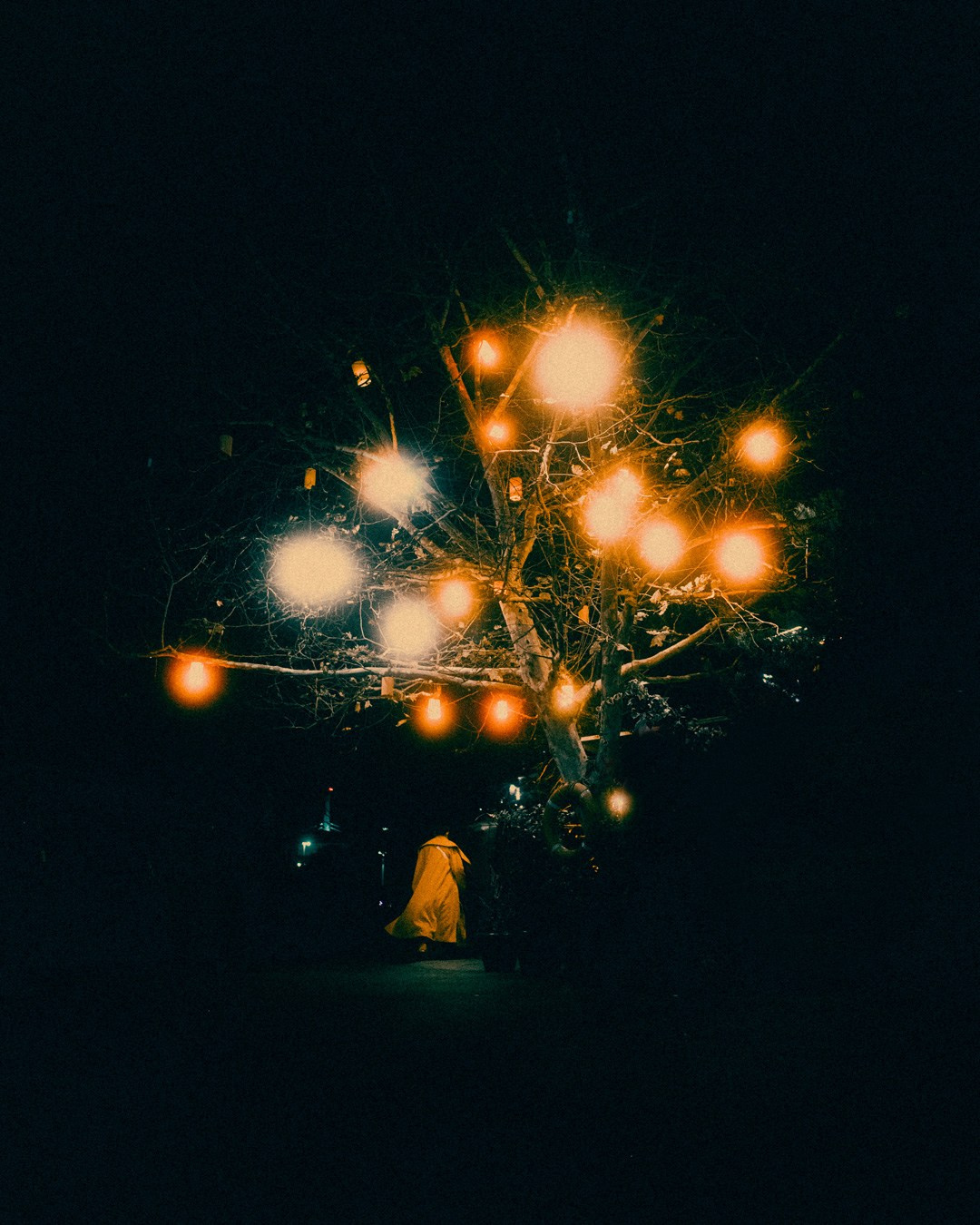 Фотограф Грачев Никита