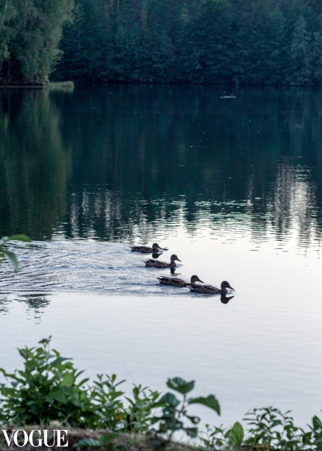 Мои публикации в итальянском журнале VOGUE. Ольга Степанова фотограф визажист в Санкт-Петербурге