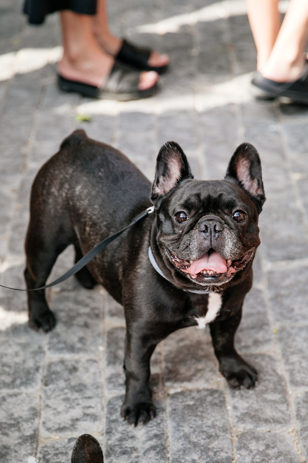 17–18 июня 2023 в пространстве YAUZA / День 1. Фотоотчеты «Ламбада-маркета»