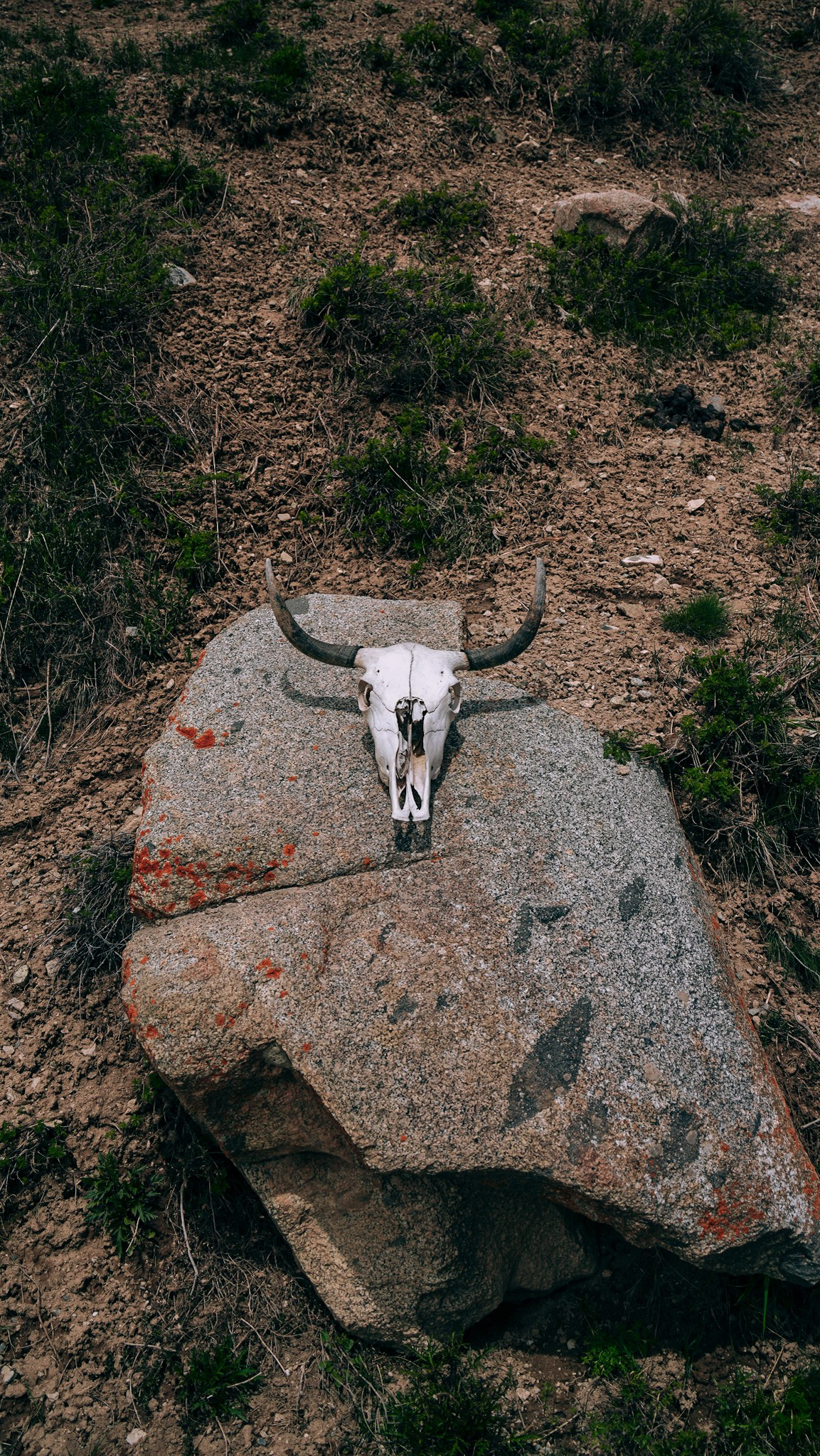 Кыргызстан. Человек с фотокамерой
