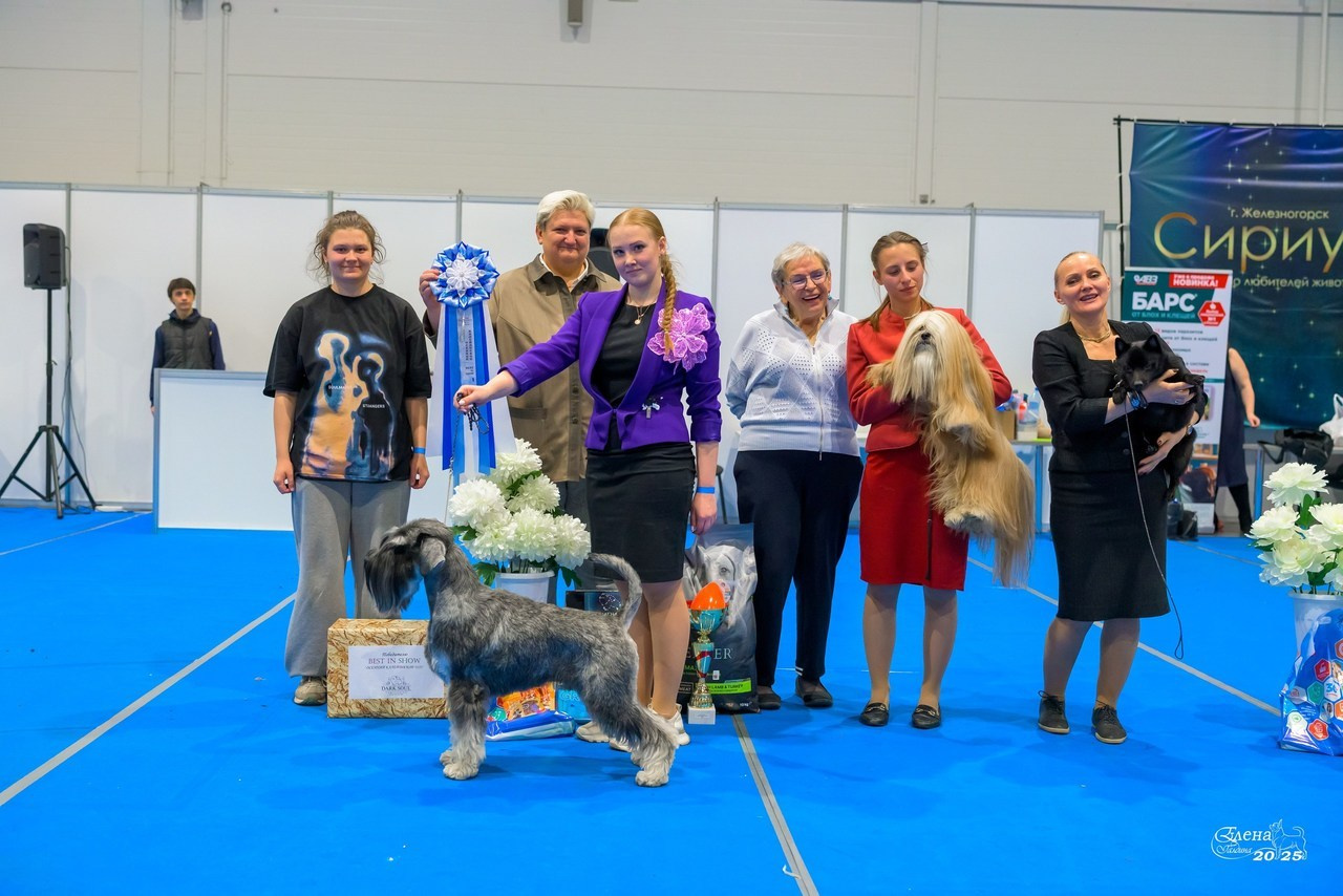 💕Отзывы. Фотограф анималист Елена Галдина г. Красноярск