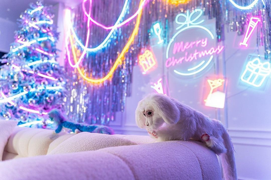 One room. Фотограф г. Хабаровск. Семейные и индивидуальные съёмки