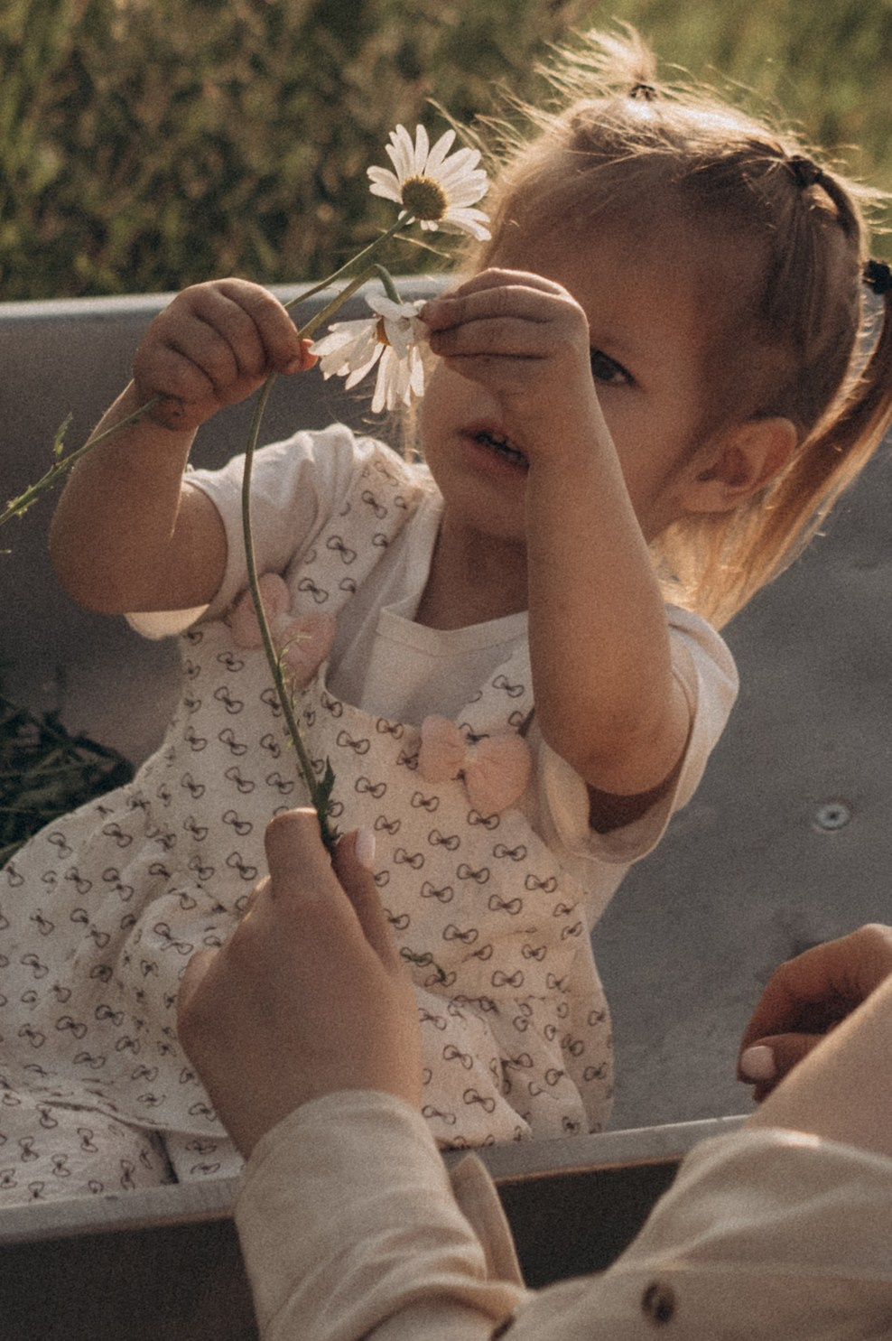 Летний вечер с самыми любимыми. Фотограф Мария Стрелкова