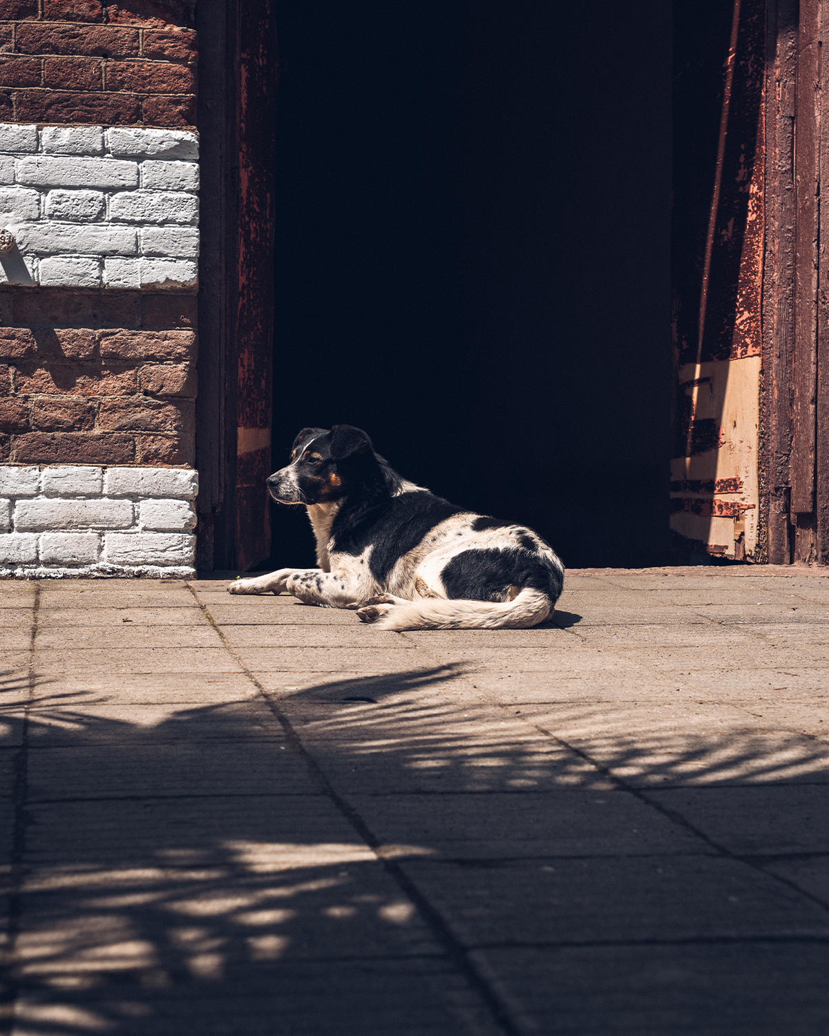 Абхазия в объективе: путешествие рекламного фотографа из Гуанчжоу. Коммерческий и предметный фотограф в Гуанчжоу Коваленко Александр