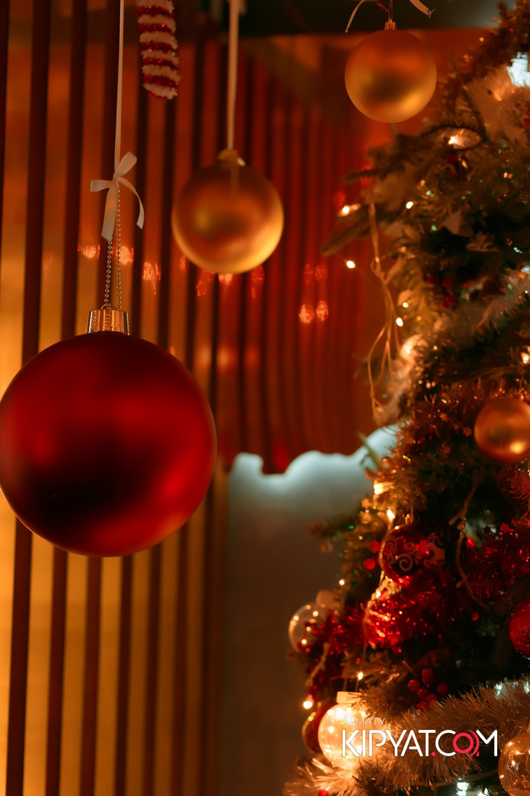 УХО И МЕДВЕДЬ НА САИНА. КИПЯТКОМ АЛМАТЫ!