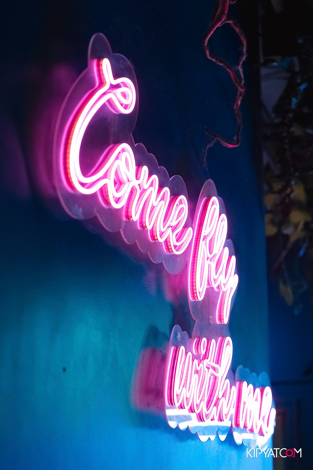 VICE CITY. КИПЯТКОМ АЛМАТЫ! Фотосъемка мероприятий в Алматы