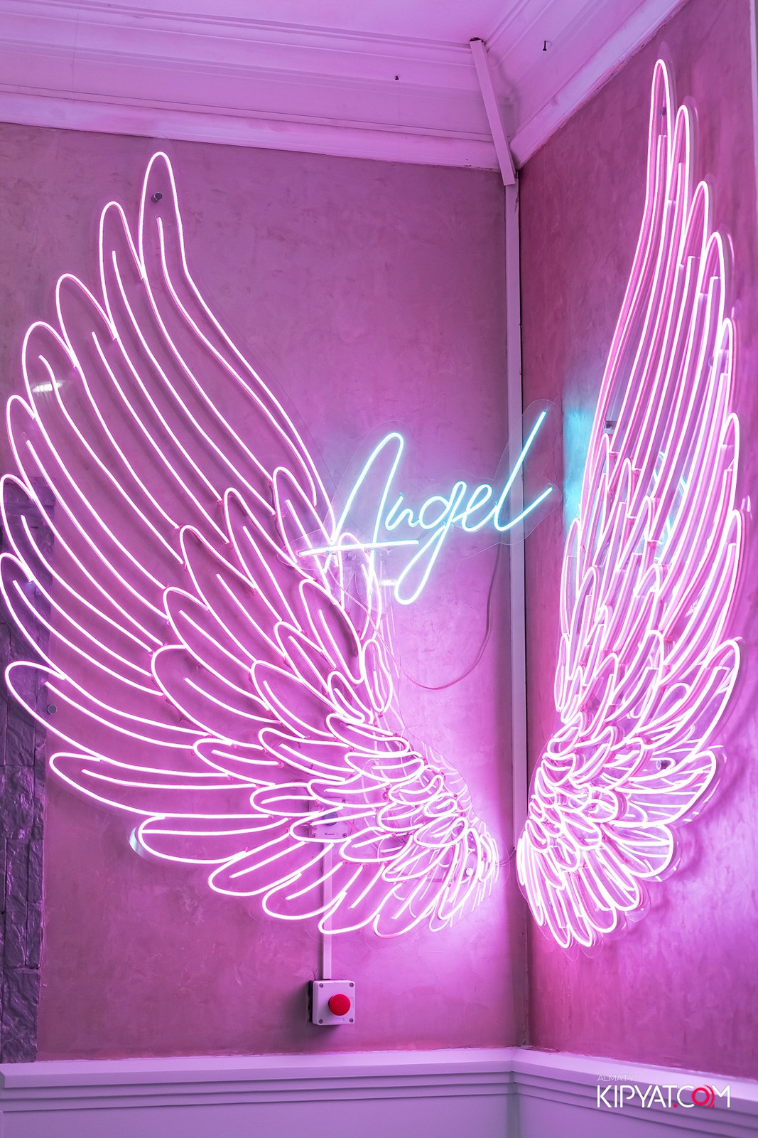 УХО И МЕДВЕДЬ НА КУРМАНГАЗЫ. КИПЯТКОМ АЛМАТЫ!