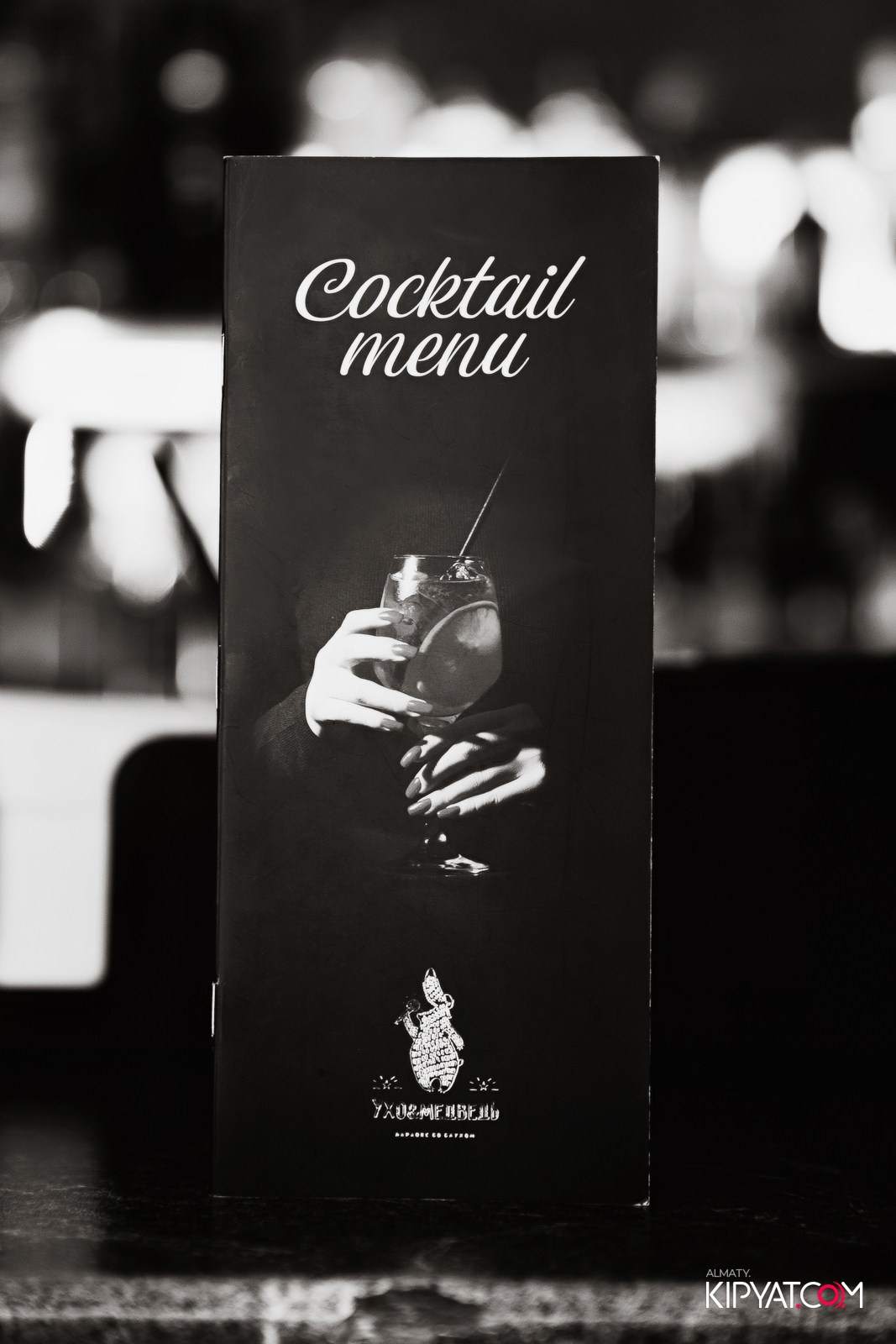 УХО И МЕДВЕДЬ НА ГАГАРИНА. КИПЯТКОМ АЛМАТЫ!