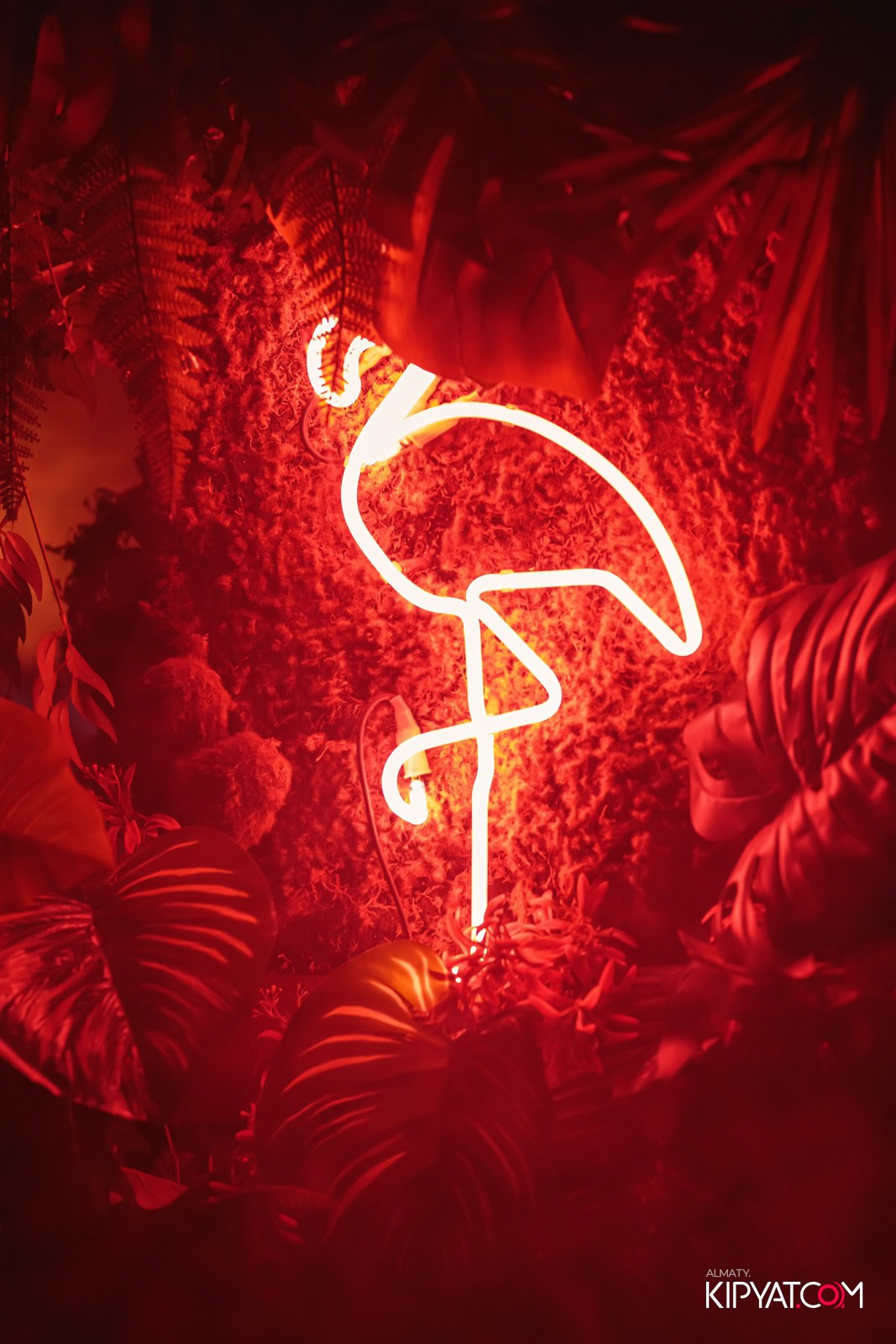 OLOVO BASR НА САТПАЕВА. КИПЯТКОМ АЛМАТЫ!