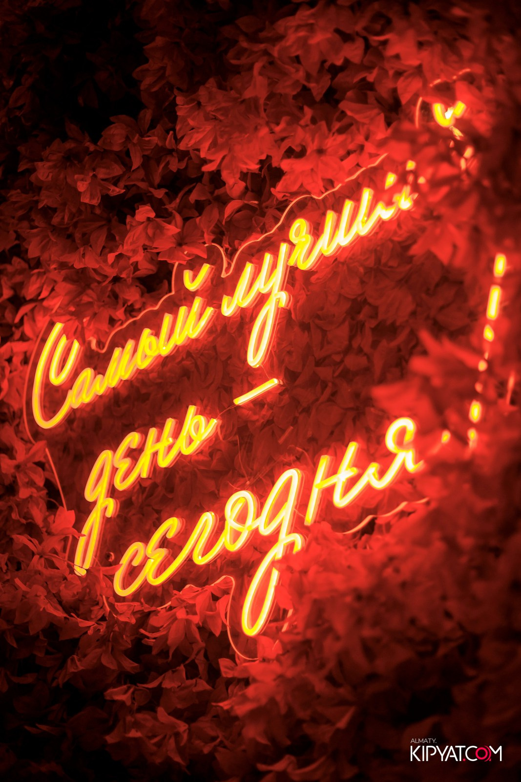 ДОРОГАЯ, Я НЕ ПИЛ. КИПЯТКОМ АЛМАТЫ! Фотосъемка мероприятий в Алматы