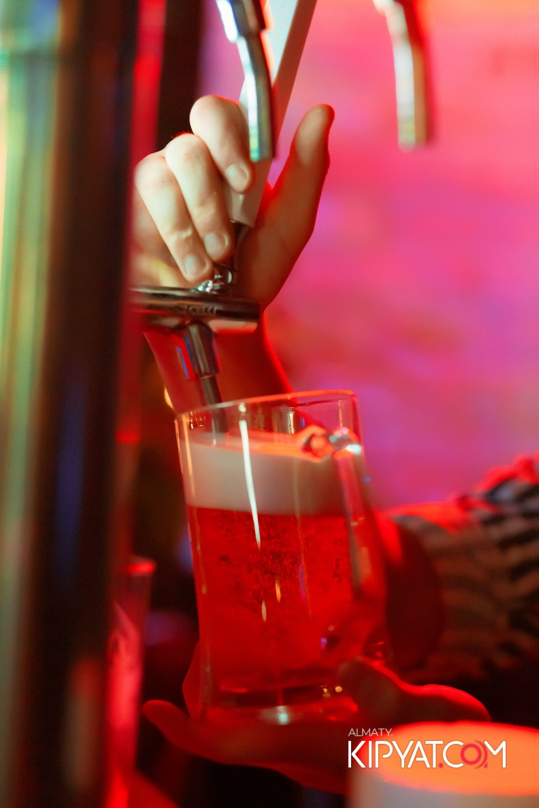 УХО И МЕДВЕДЬ САИНА. КИПЯТКОМ АЛМАТЫ!