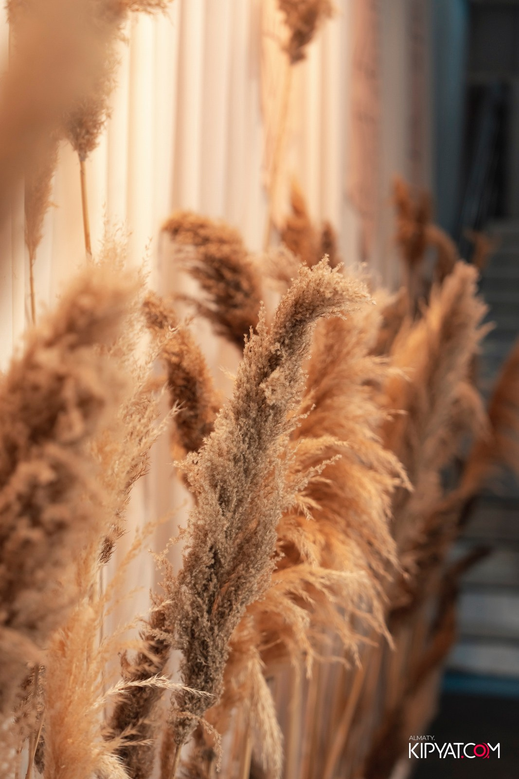 ETHNO POP-UP STORE, SABANTOI B SADU ARENA. КИПЯТКОМ АЛМАТЫ!