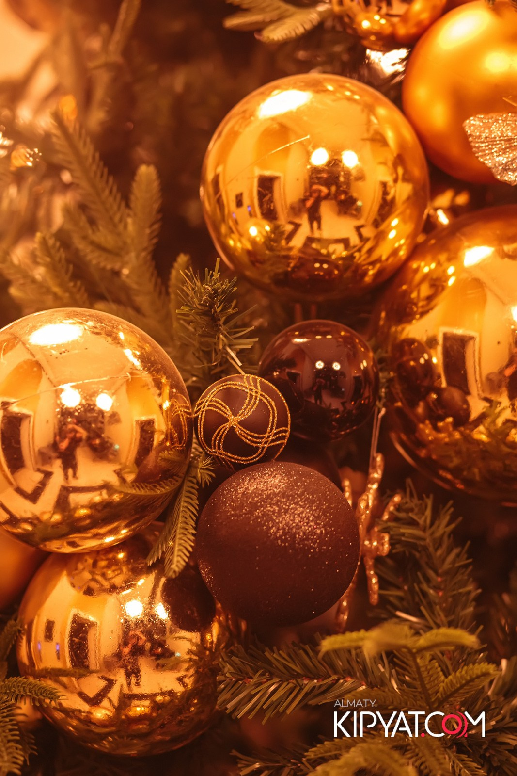 РЕСТОРАН BARFLY. КИПЯТКОМ АЛМАТЫ!