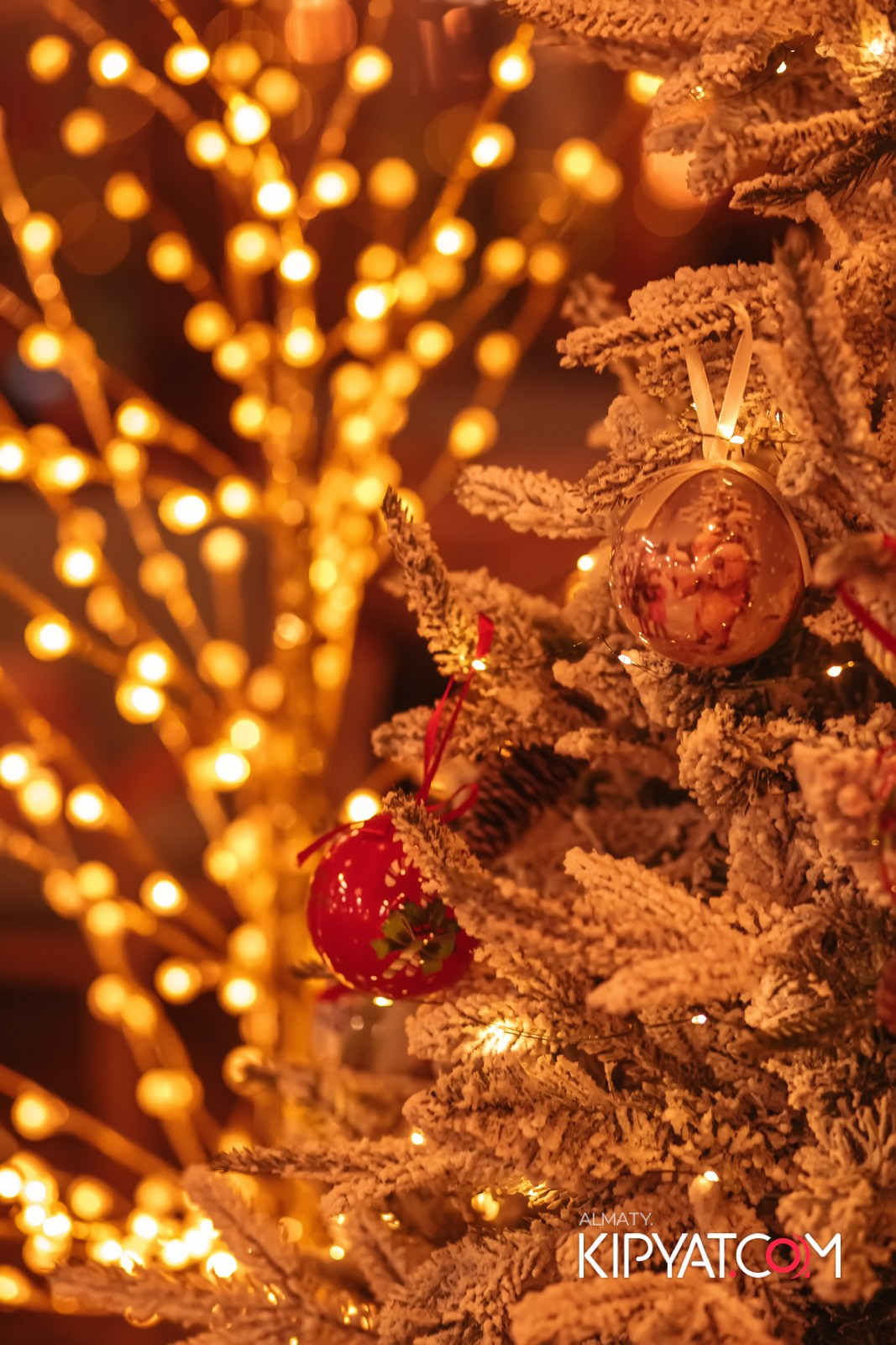 MODI RESTORANCHIK. КИПЯТКОМ АЛМАТЫ!