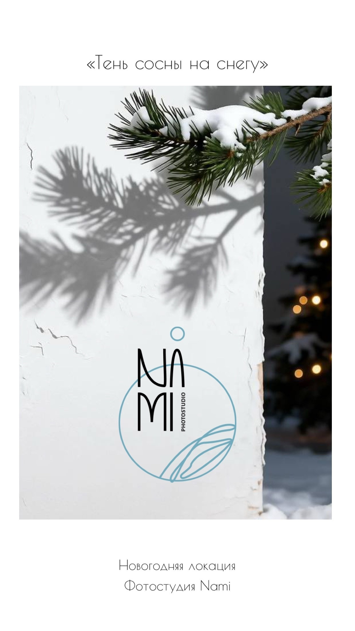 Анонсы будущих залов. Фотограф в Санкт-Петербурге, Анна Скворцова