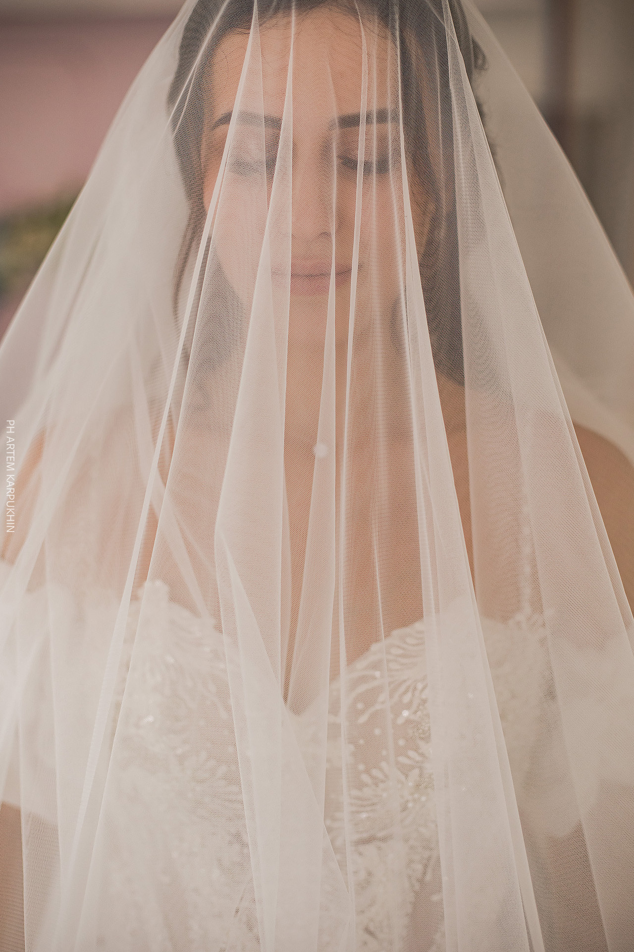 Свадьба, фотограф в Муроме, ЗАГС, мост, Риони, ведущая Ольга Цыганова. Фотограф городских и семейных событий Артем Карпухин