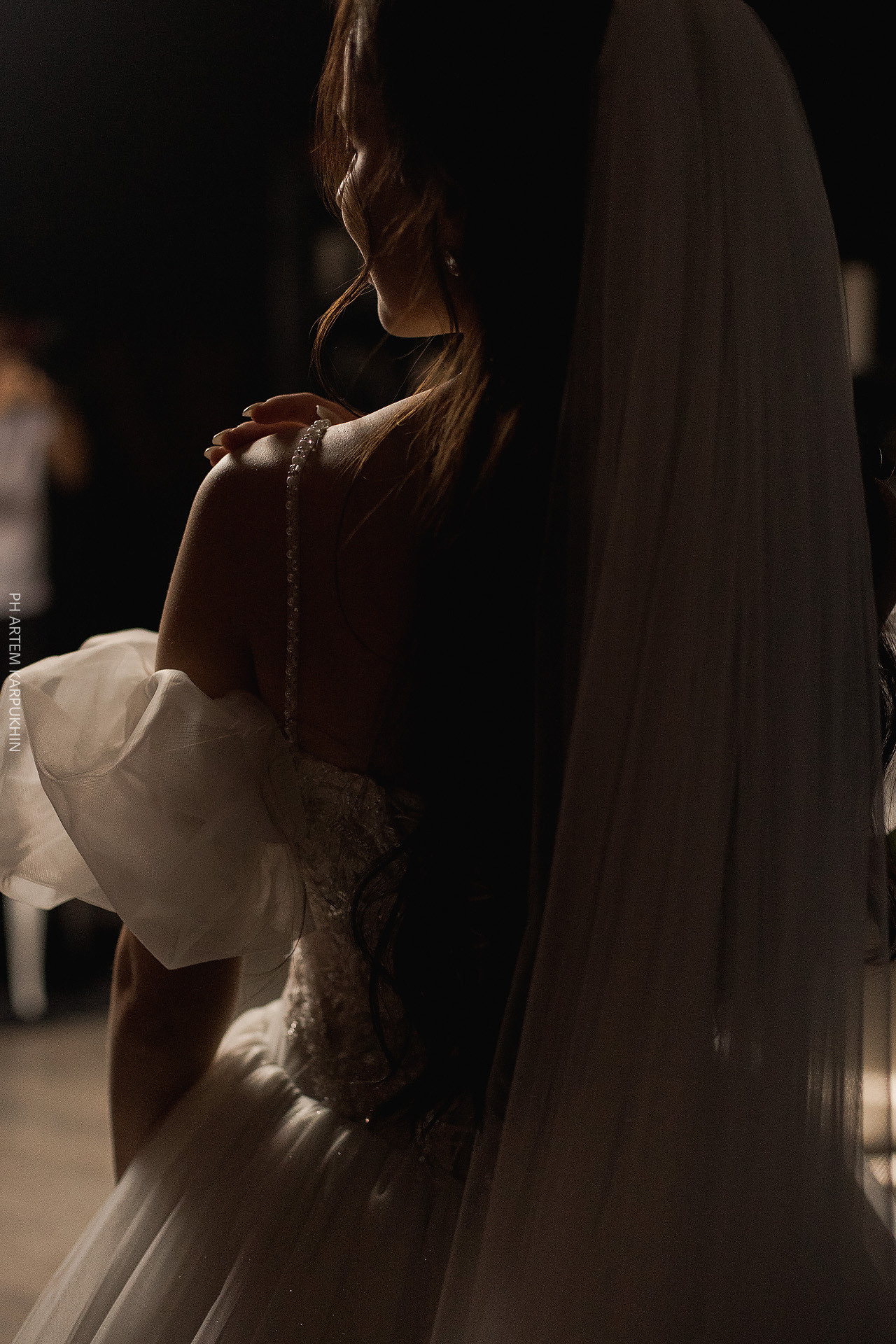 Свадьба, фотограф в Муроме, ЗАГС, мост, Риони, ведущая Ольга Цыганова. Фотограф городских и семейных событий Артем Карпухин