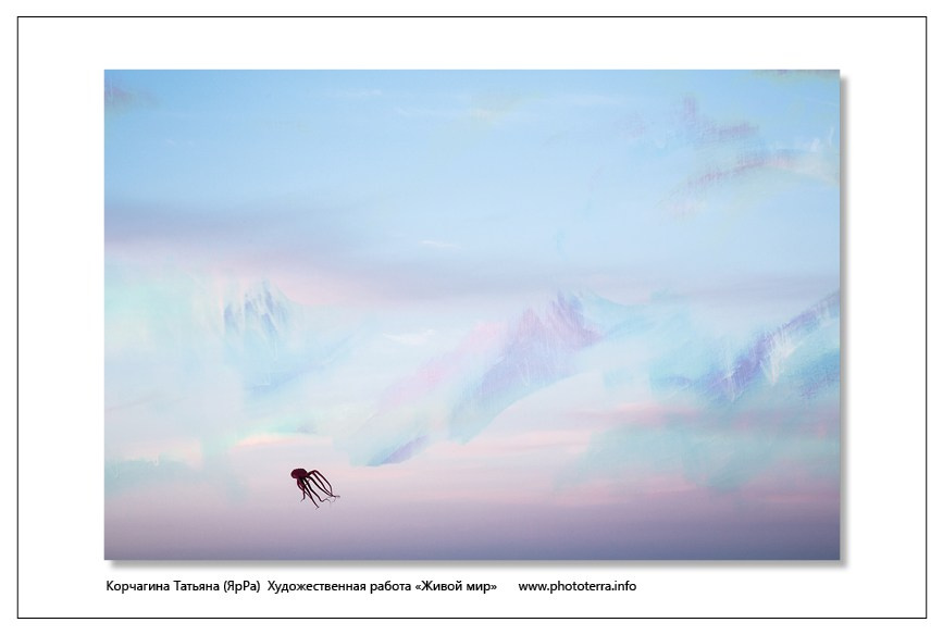 Арт & поэзия. Татьяна Корчагина. Фотограф, художник. Обучение фотографии