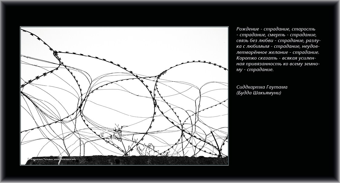 Совет дня — ориентир. Татьяна Корчагина. Фотограф, художник. Обучение фотографии