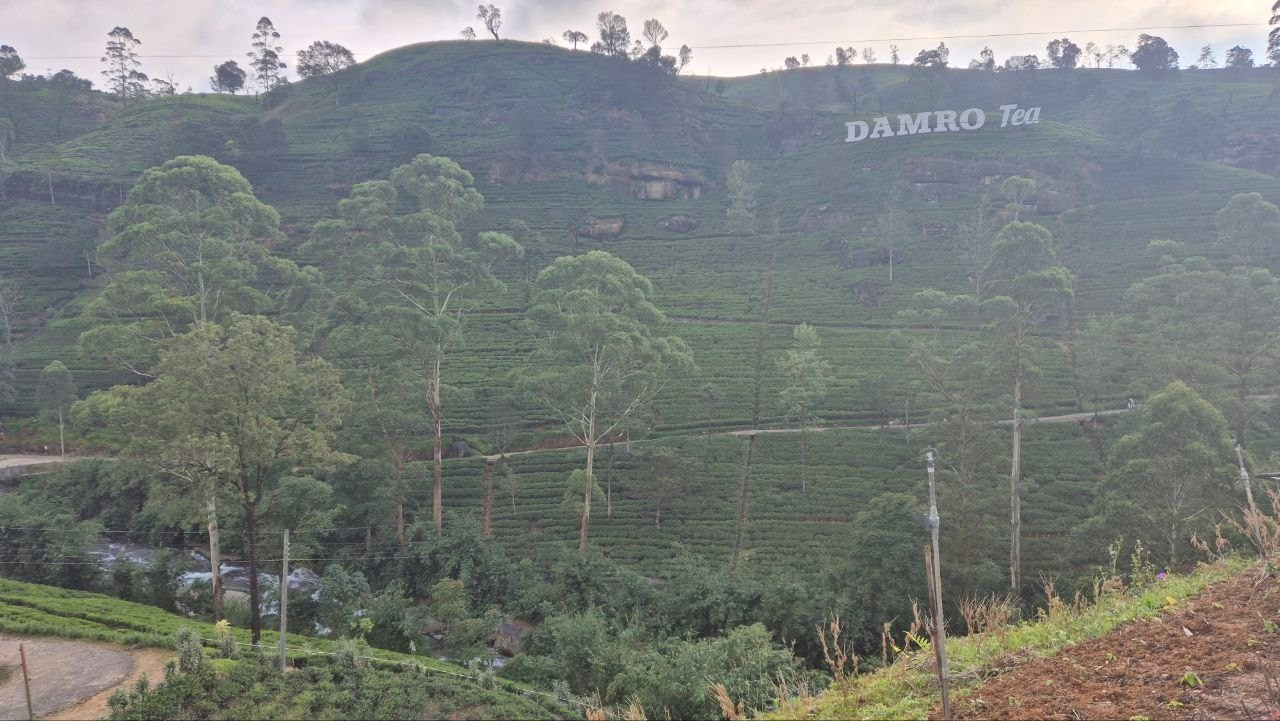 Шри-Ланка | 31.01 — 10.02.2025. Галерея Фантим