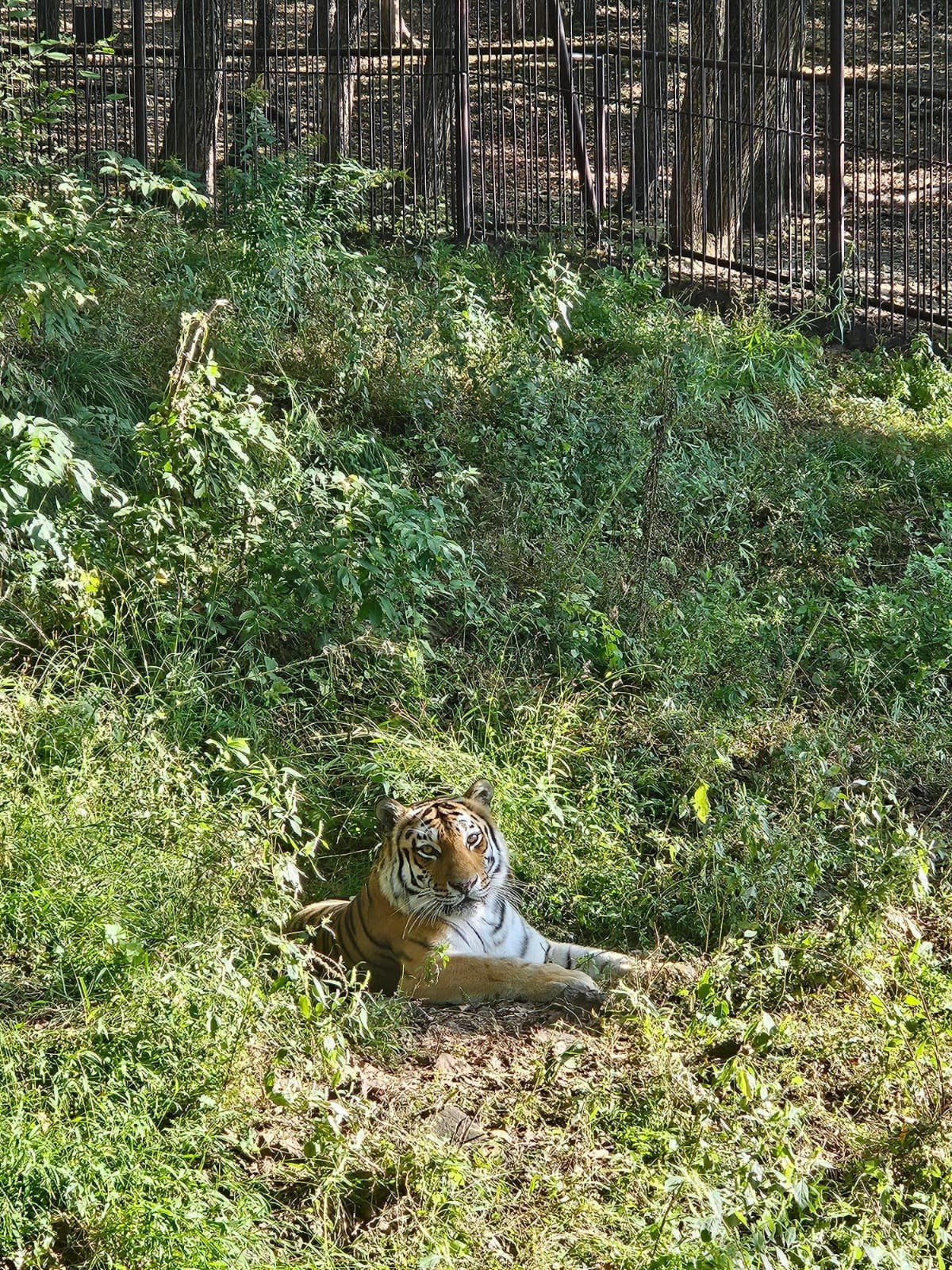 Владивосток 1 | 18-21.09.2025. Галерея Фантим