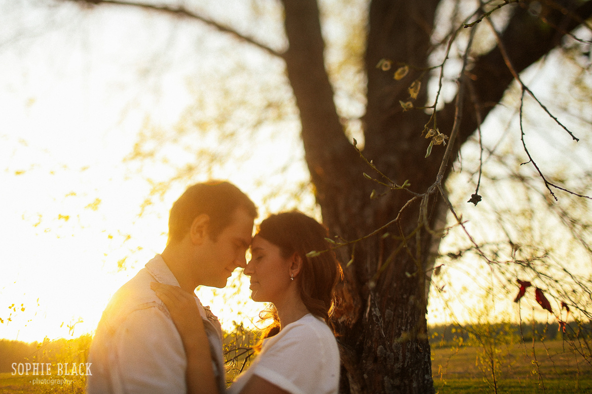 Солнечные. Соня Черных (sophieblack)