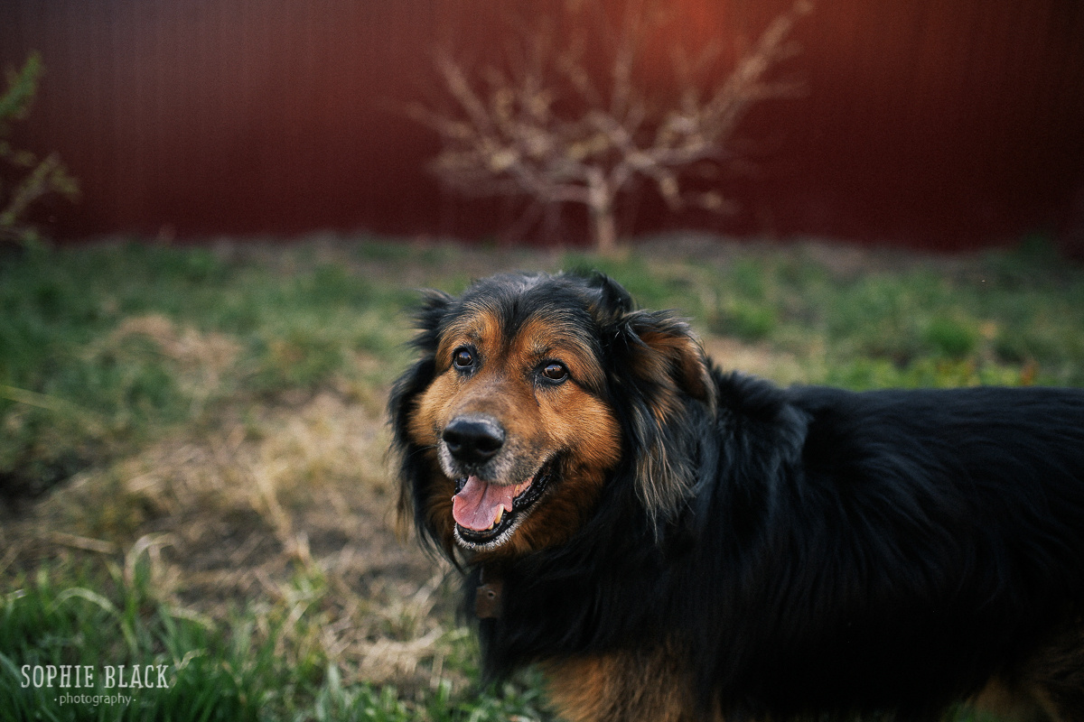 Солнечные. Соня Черных (sophieblack)