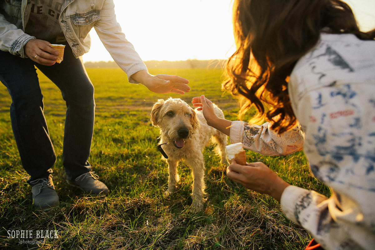 Солнечные. Соня Черных (sophieblack)