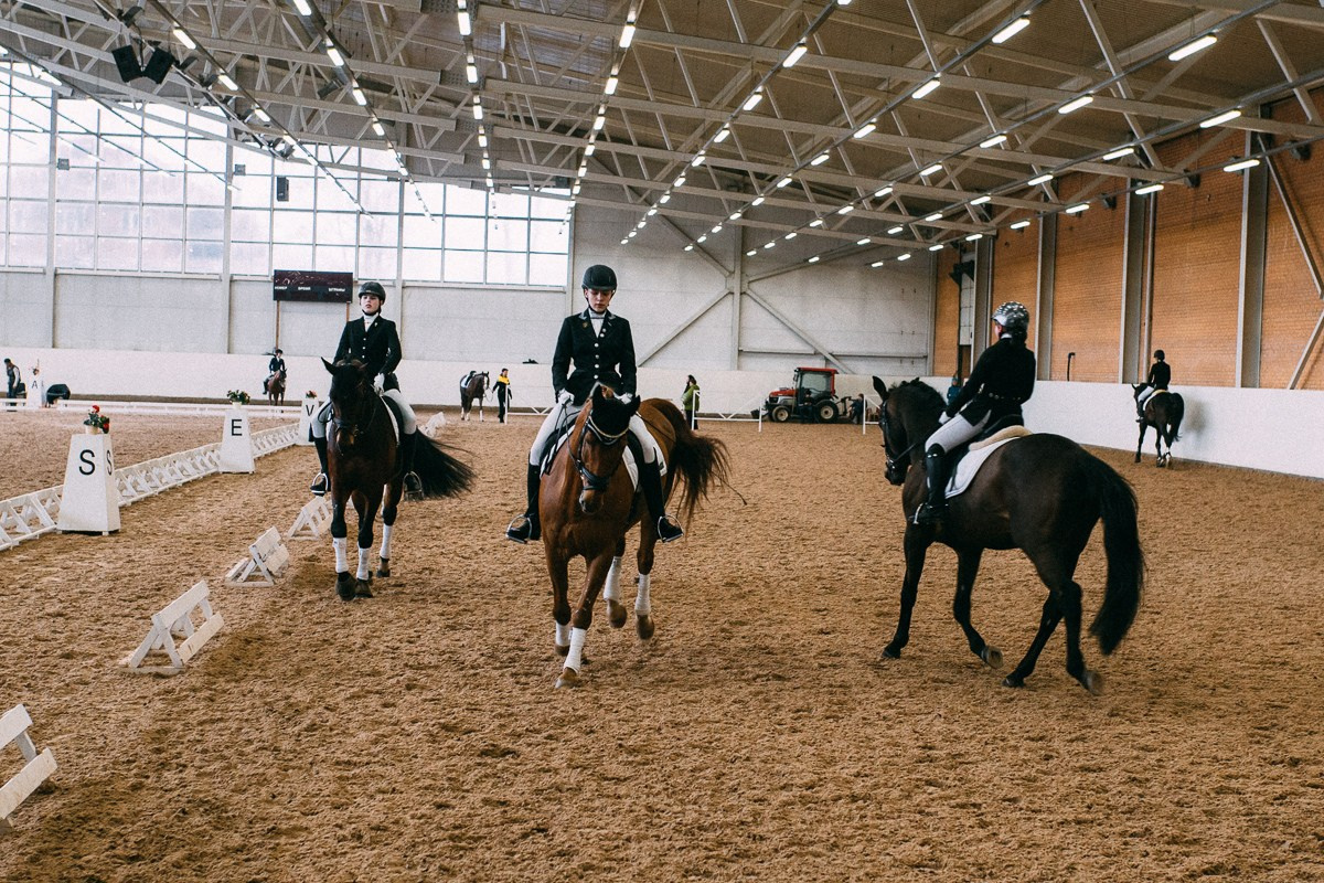 Выездка КСК «Дерби». Репортажный и семейный фотограф в Санкт-Петербурге Тарас Марченко