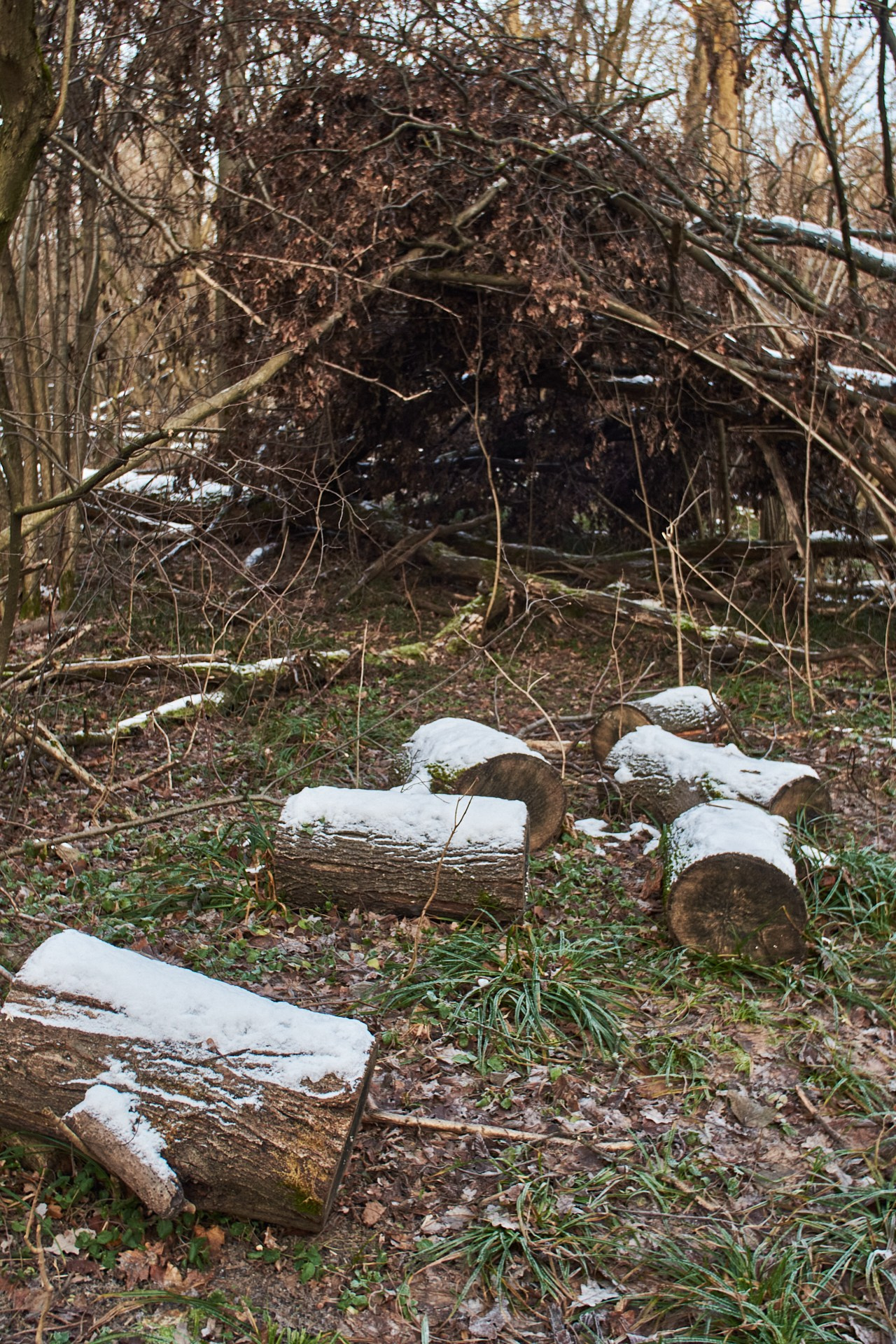 ЖИЗНЬ и СМЕРТЬ. Сайт фотографа Виталия Дени