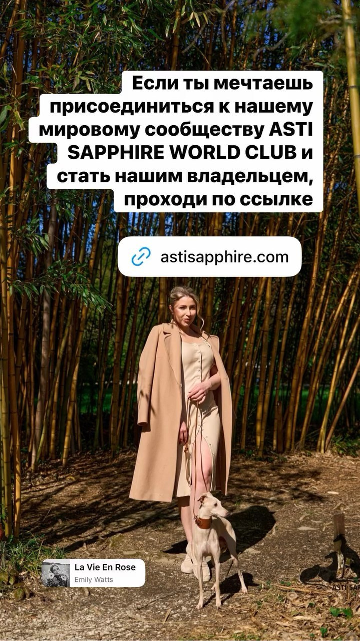 Итоги апреля. Профессиональный питомник левреток РКФ/FCI ASTI SAPPHIRE 💎 Сочи|Санкт-Петербург