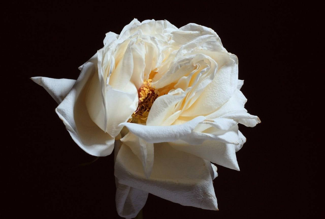 Предметы. Фотограф в Москве Юлия Майорова