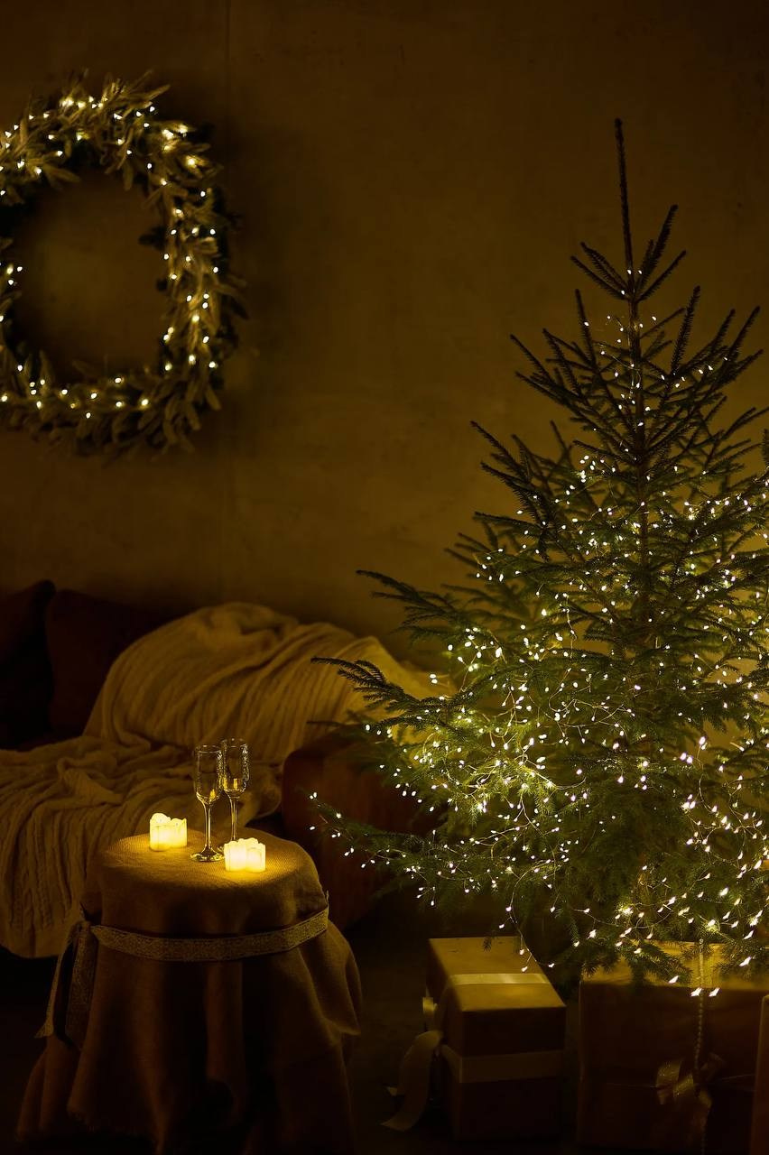 Новогодняя фотосессия в Туле. Портретный, семейный, свадебный фотограф. Бизнес, контент съёмка. Тула