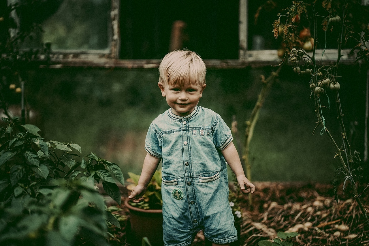 Яблоневый сад. Ася Краснова