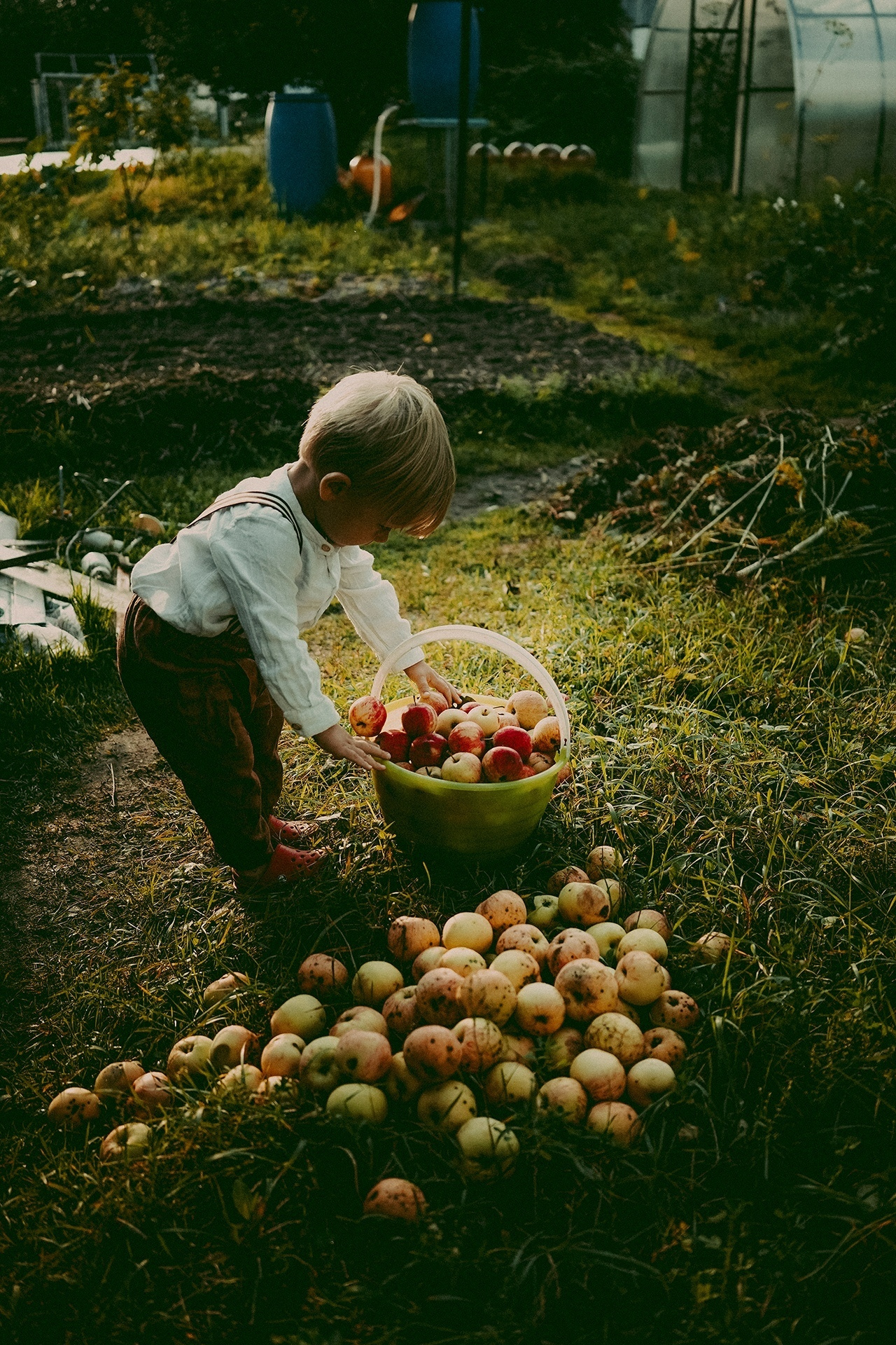 Яблоневый сад. Ася Краснова