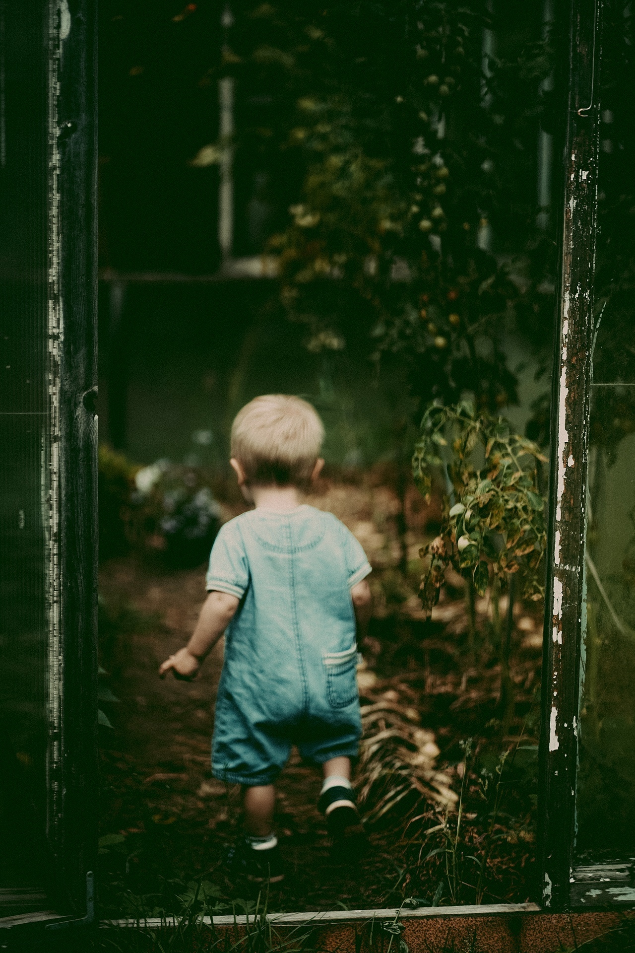 Яблоневый сад. Ася Краснова