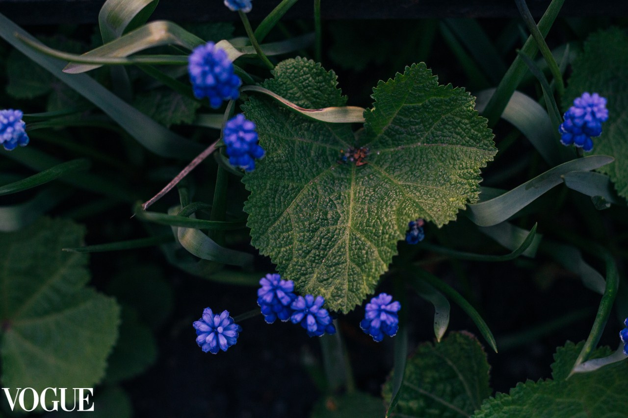 Мои публикации в итальянском журнале VOGUE. Ольга Степанова фотограф визажист в Санкт-Петербурге