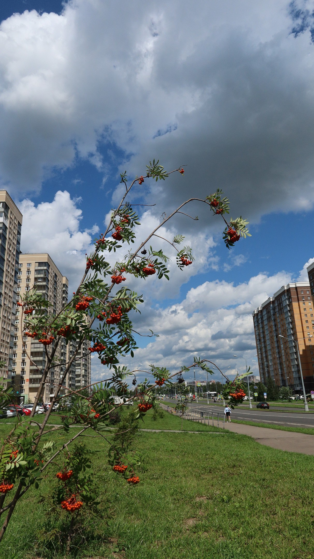 Улица, люди, жизнь…
