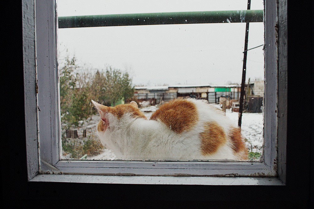 Родное. Фотограф в Москве, в Самаре Инна Мамонова