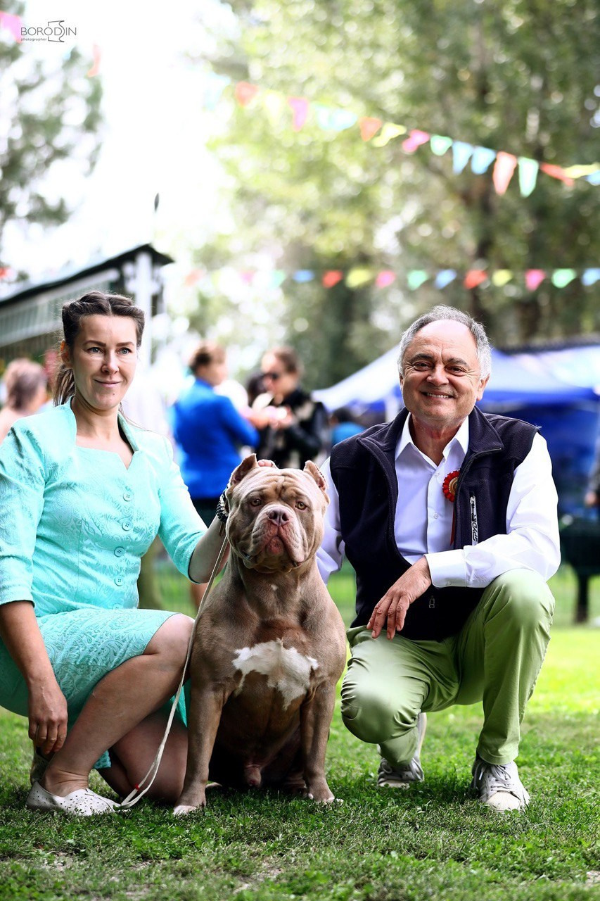 Участие в выставках. Американские булли XL в г. Калининград. Питомник Great Bully UNIVERSE