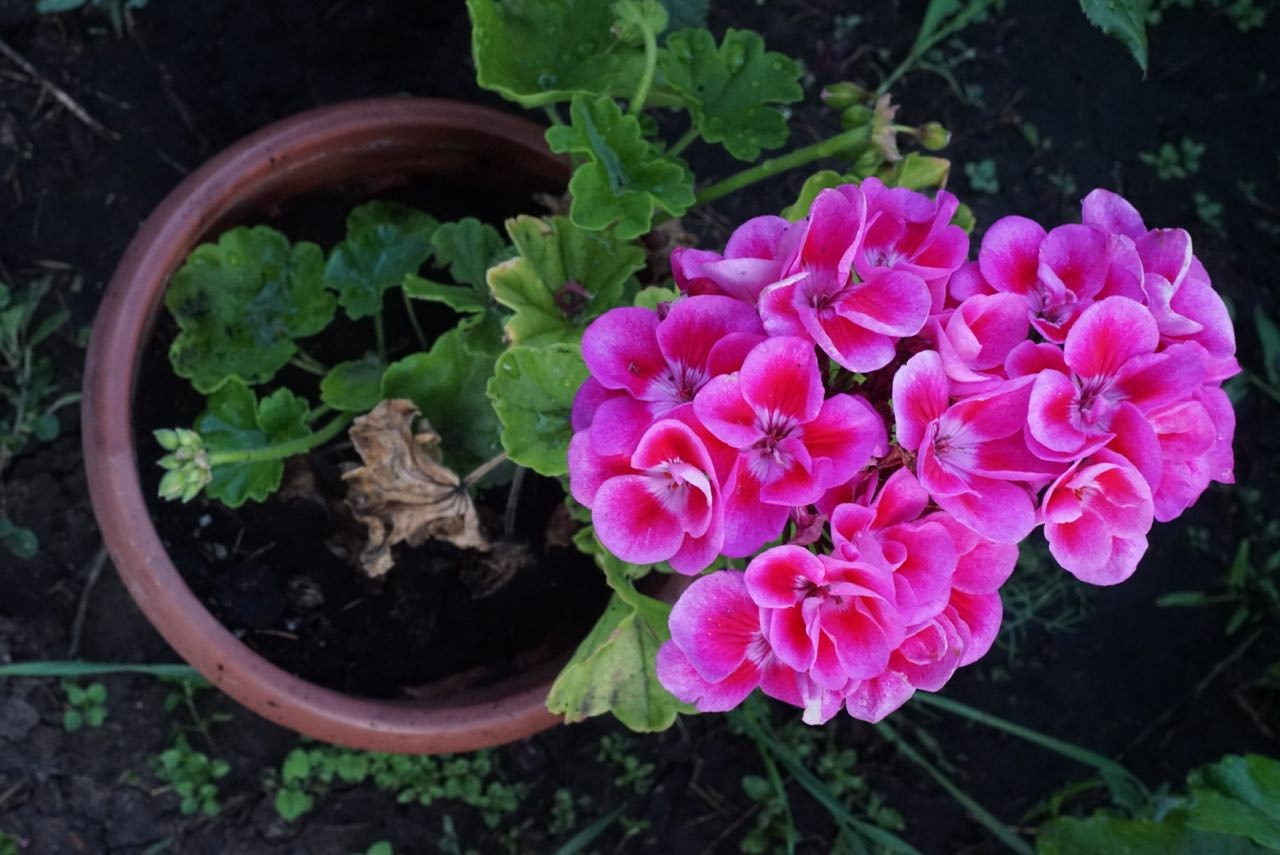 Портфолио. Фотограф из Чистополя