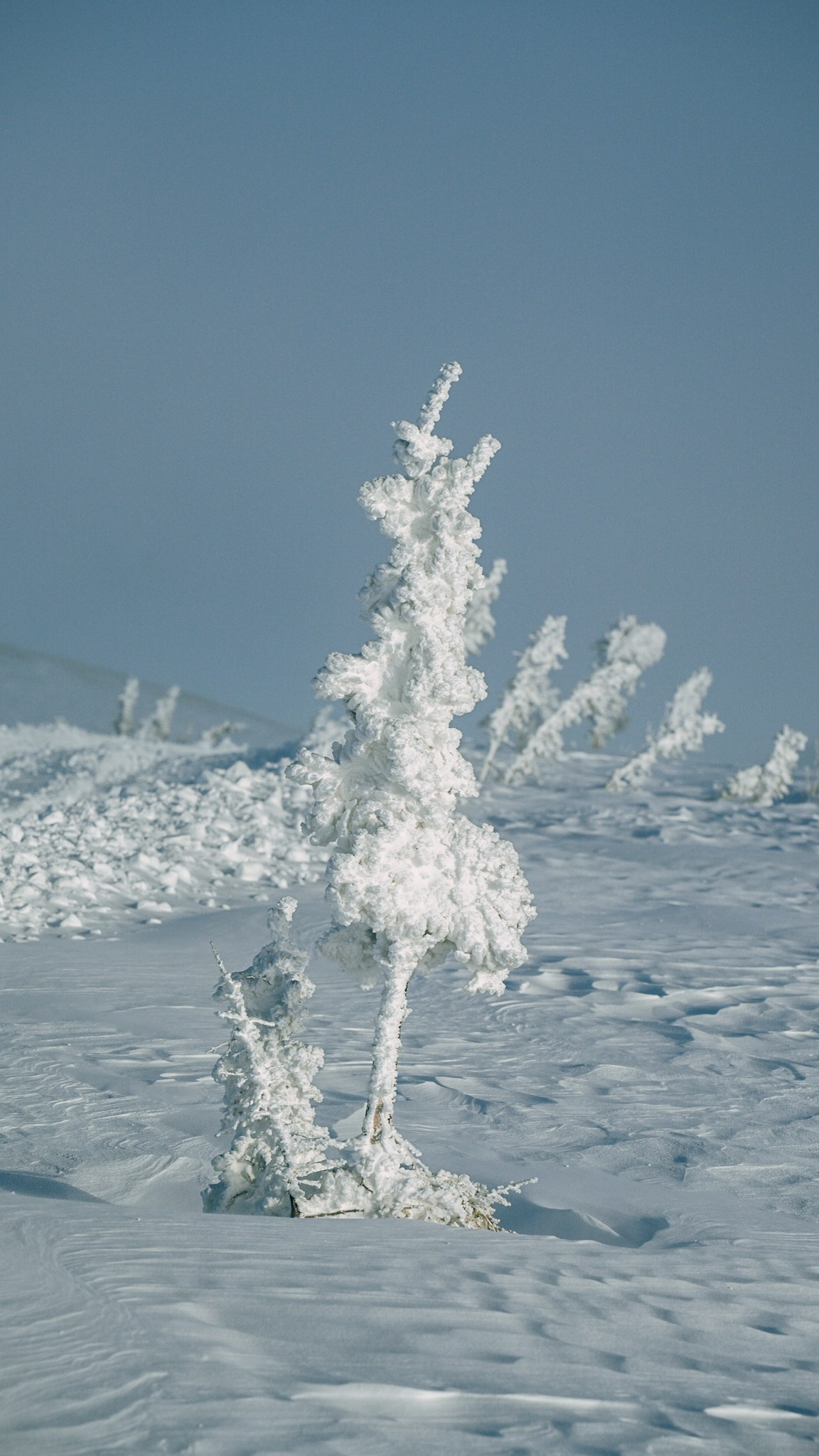 Приисковое. Человек с фотокамерой