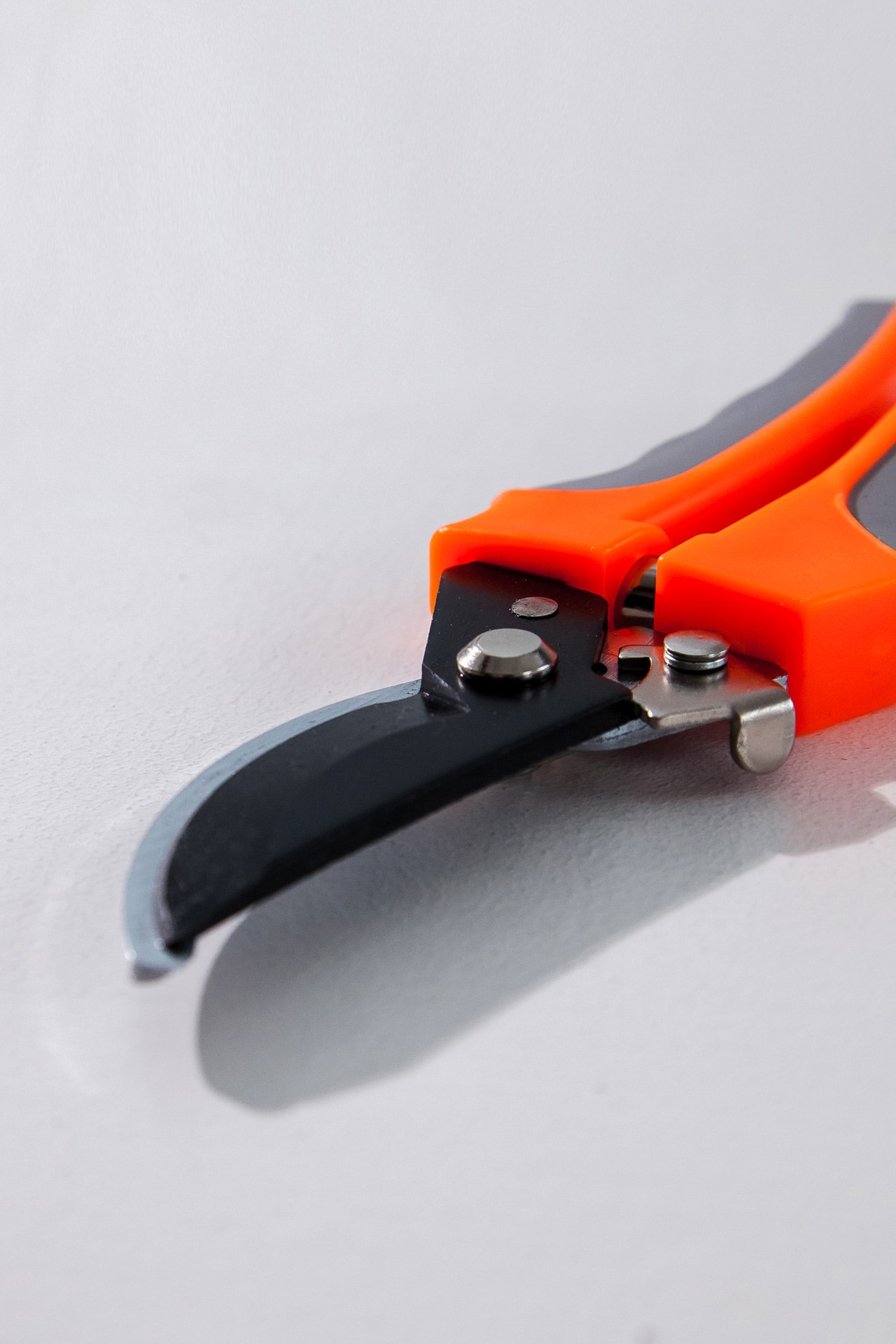 Секатор. Портретный, семейный, свадебный фотограф в Брянске Маргарита Василькова