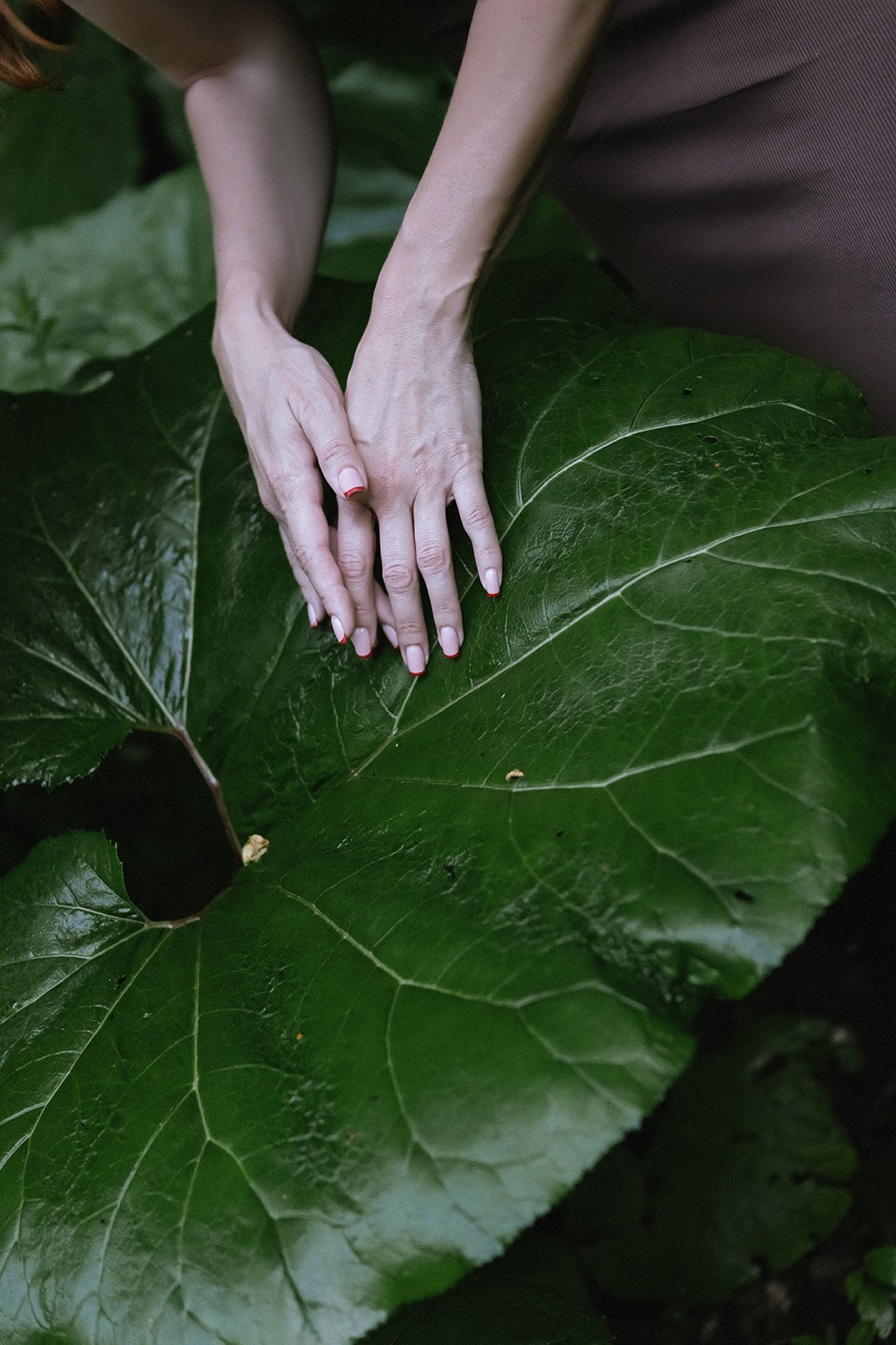 Оля портреты. Семен Соколов