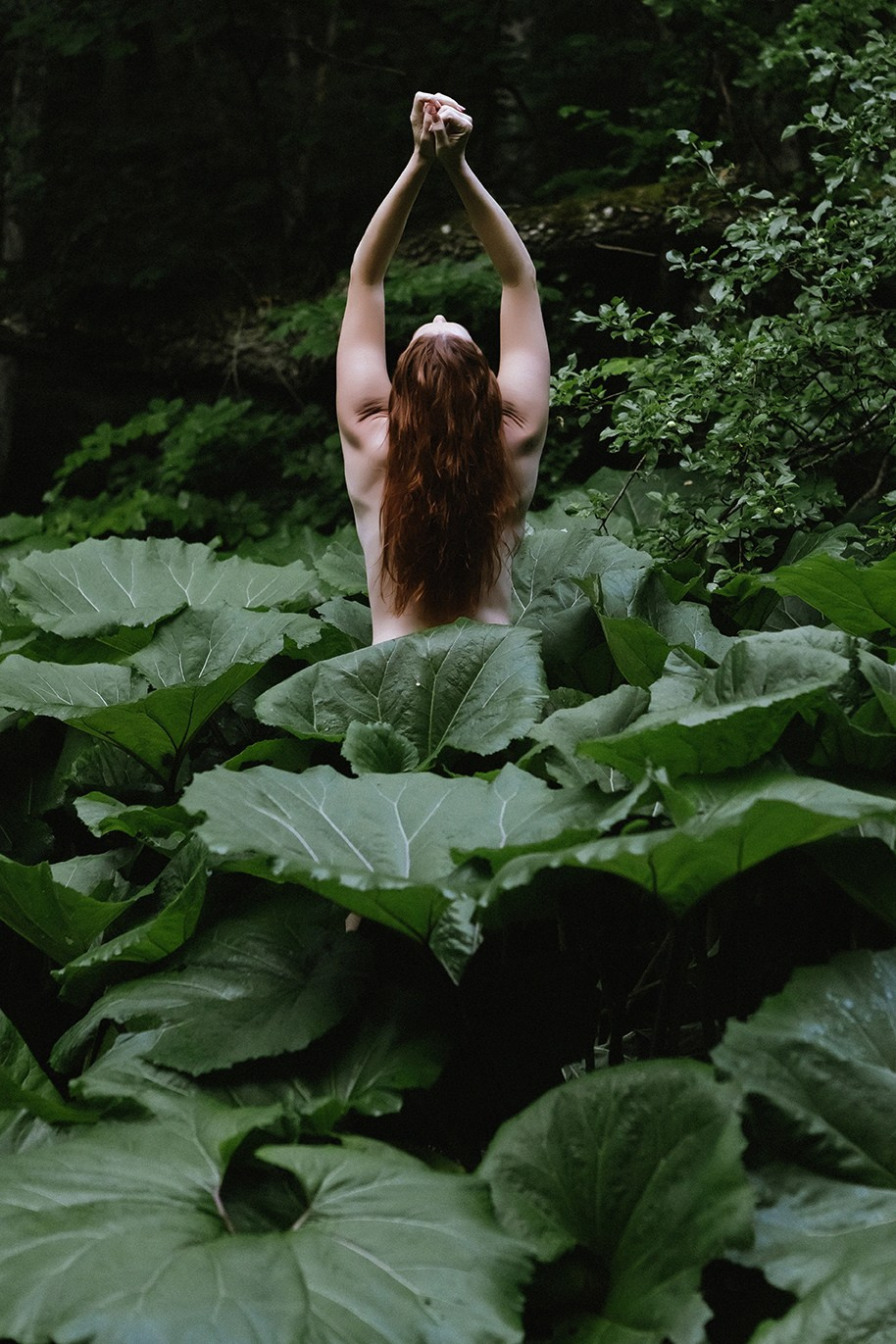 Оля портреты. Семен Соколов