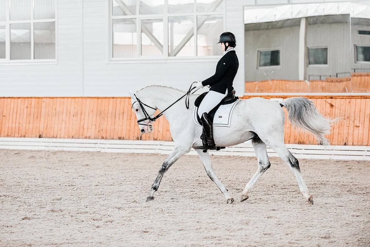 Весенний Бал в КСК «Конкорд». Конный фотограф Куракина Дарья • Фотосессии с лошадьми