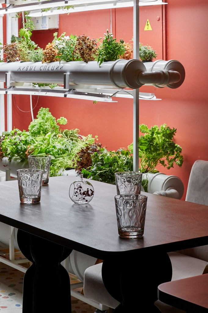 Вермутерия 2. Лена Сми интерьерный и портретный фотограф. Москва и Санкт-Петербург