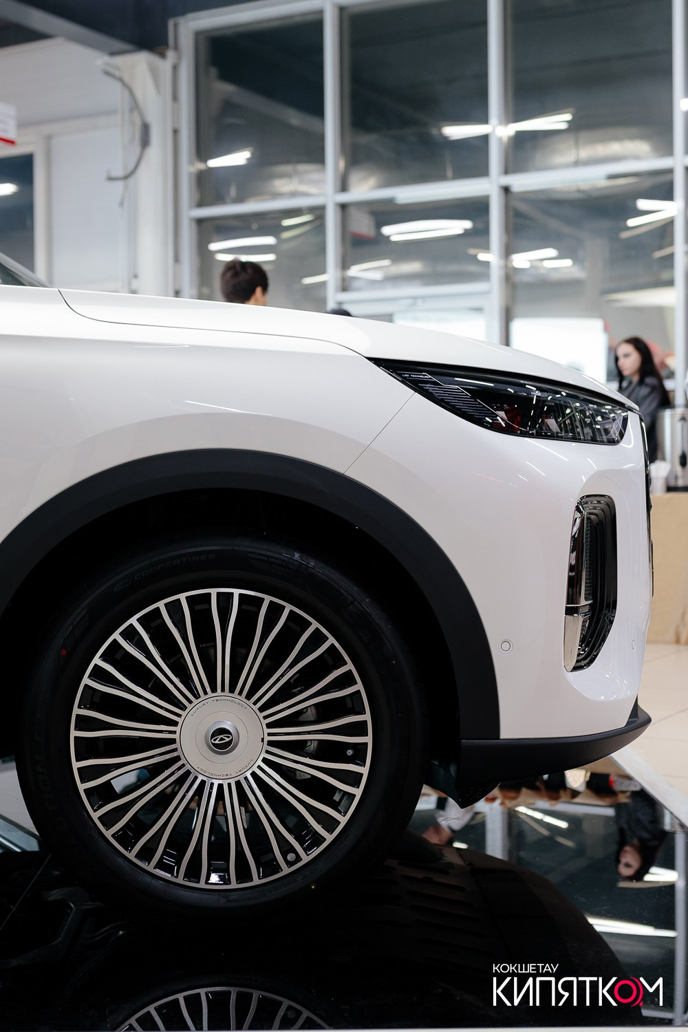 CHERY TIGGO 9. КИПЯТКОМ КОКШЕТАУ