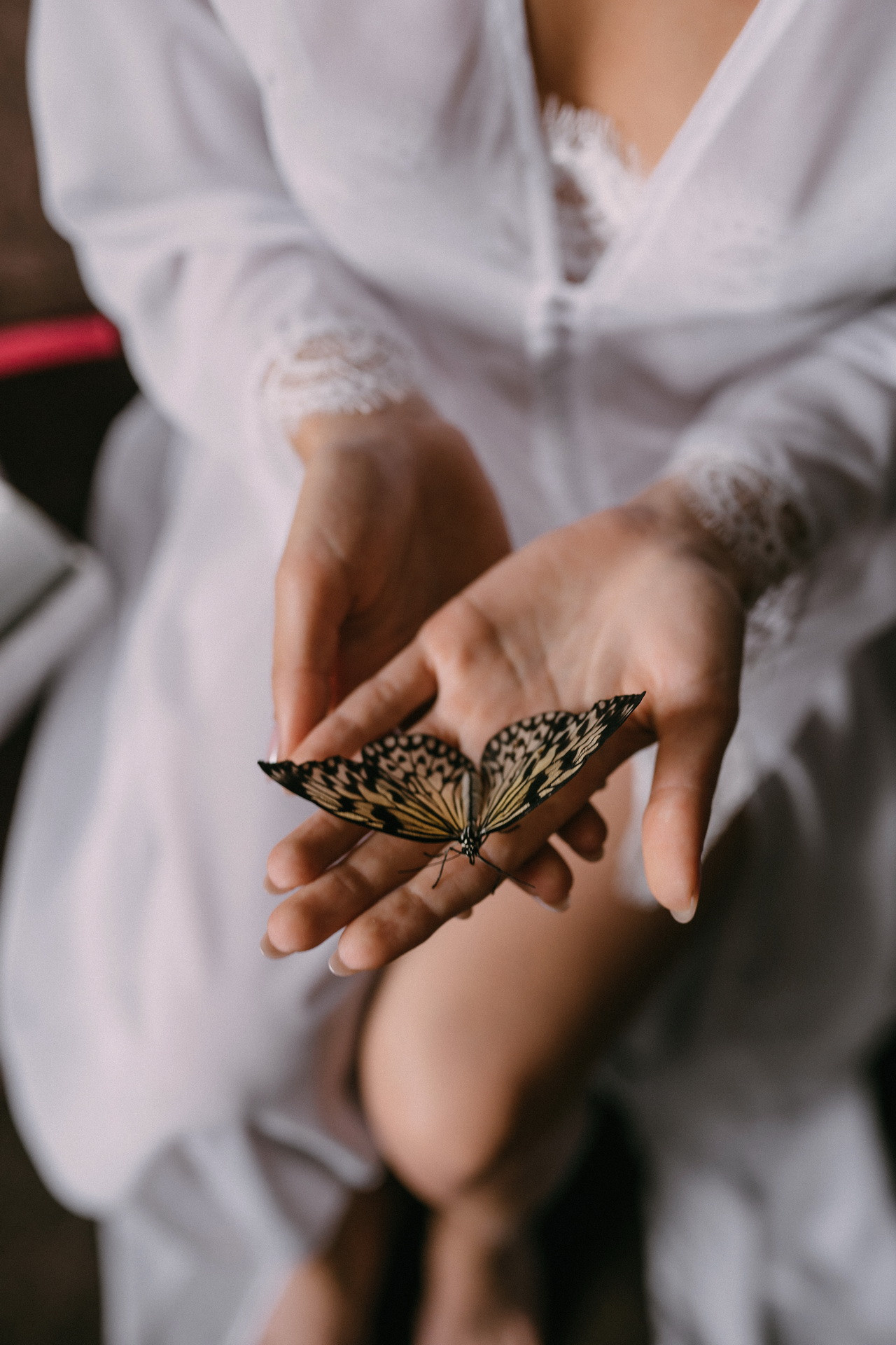 Свадьба. Свадебный фотограф в Хабаровске Момот Валерий